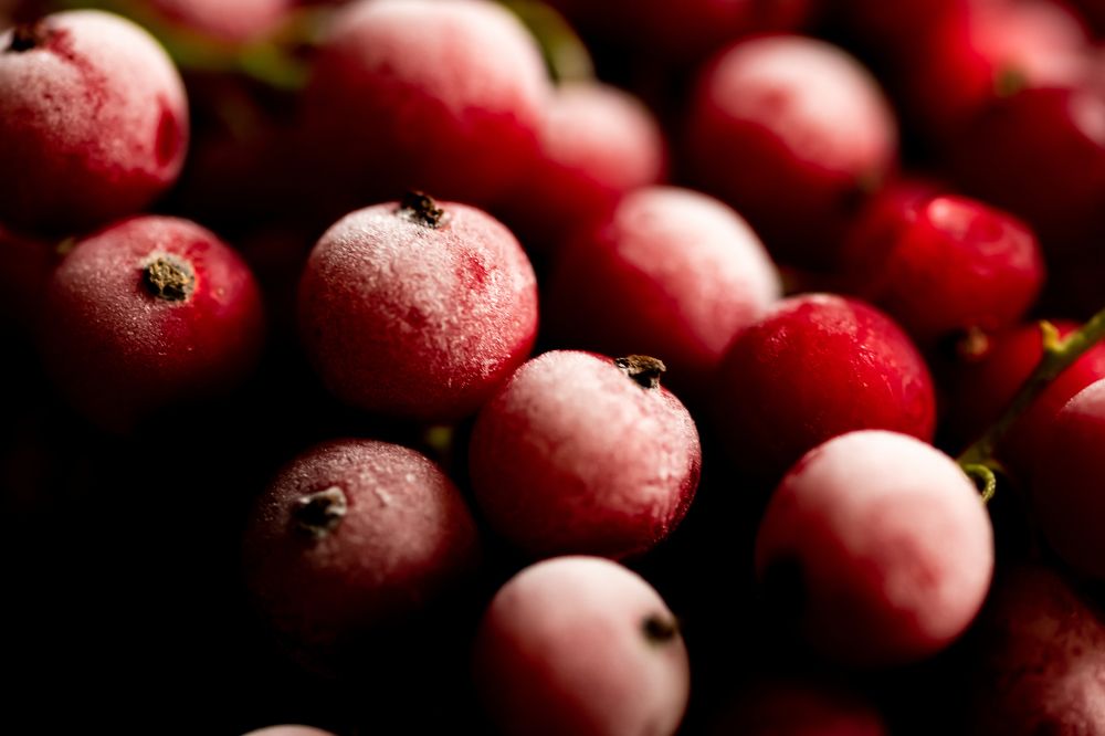 Photograph by Анна Оськина