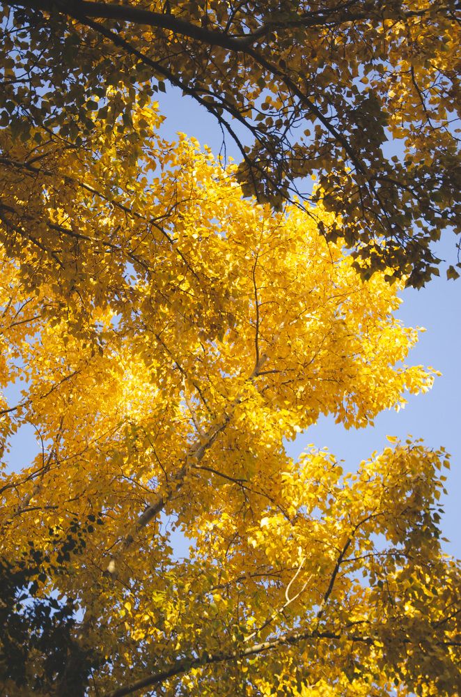 Photograph by Ульяна Бедрицкая