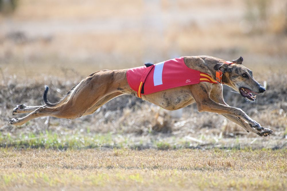 Photograph by Francisco José López Fernández