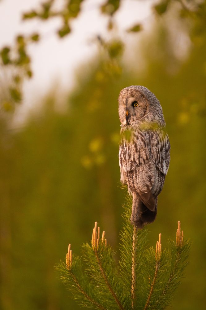 Photograph by Олег Бережных