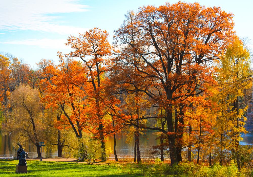 Photograph by Михаил Бояркин