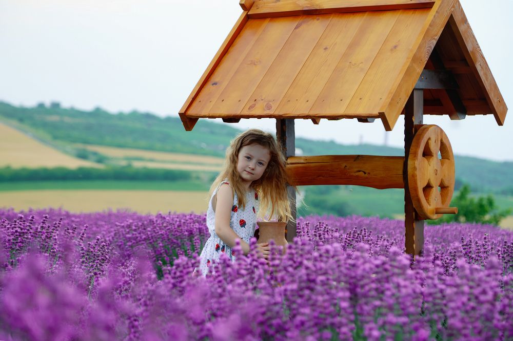 Photograph by Александр Шептикин