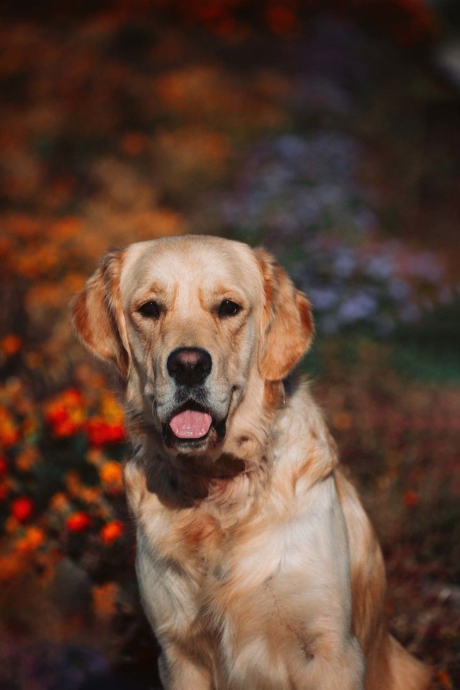 Фотография автора Рыбаков Илья