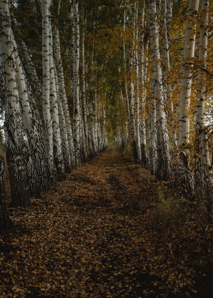 Photograph by Олеся Александрова