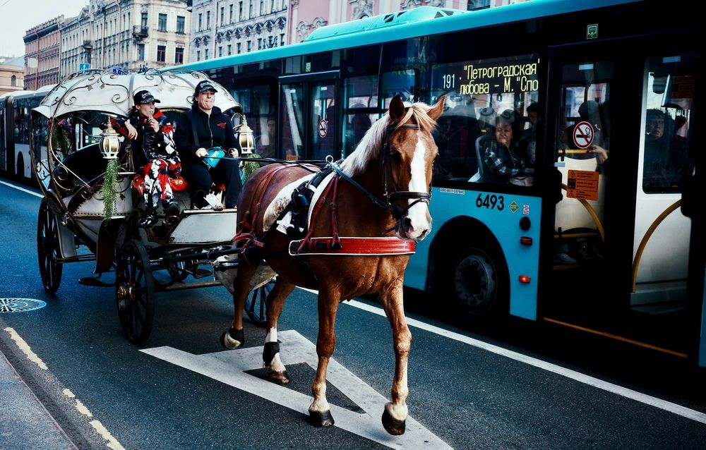 Photograph by Yana Egorova