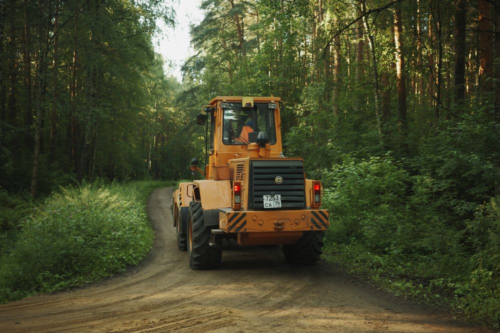 Photograph by Yana Egorova