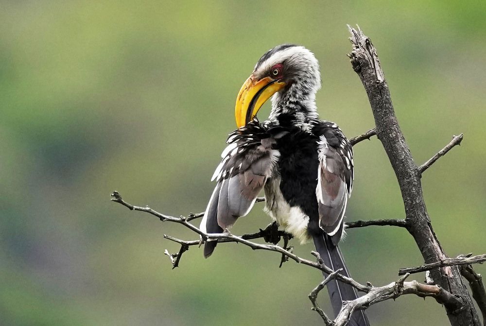 Photograph by Raed Victor Saad