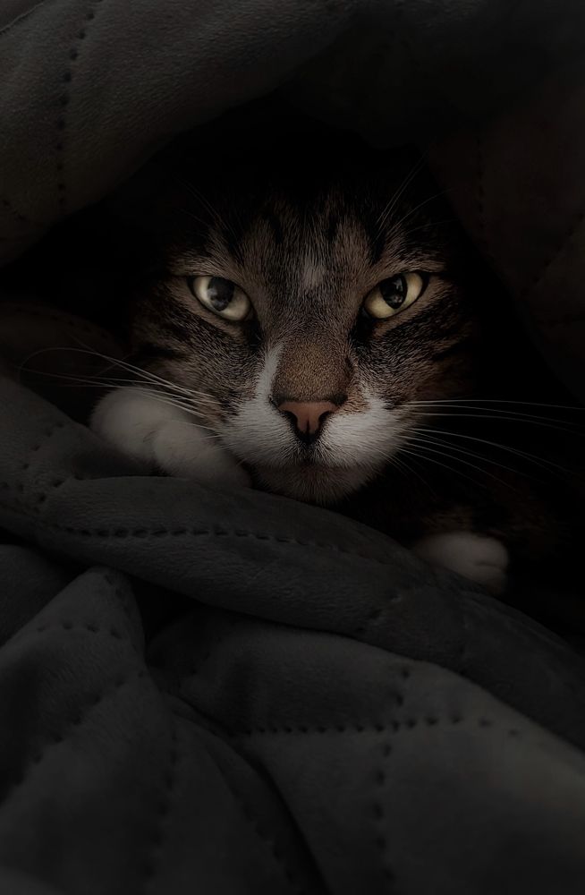 Фотография автора Anna piven