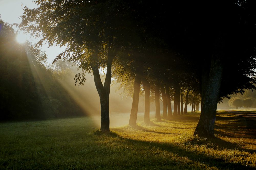 Photograph by Yana Egorova