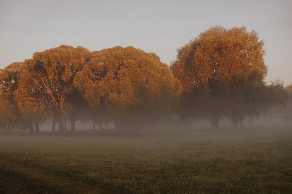 Photograph by Yana Egorova