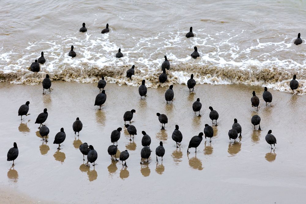 Photograph by Антон Дергунов