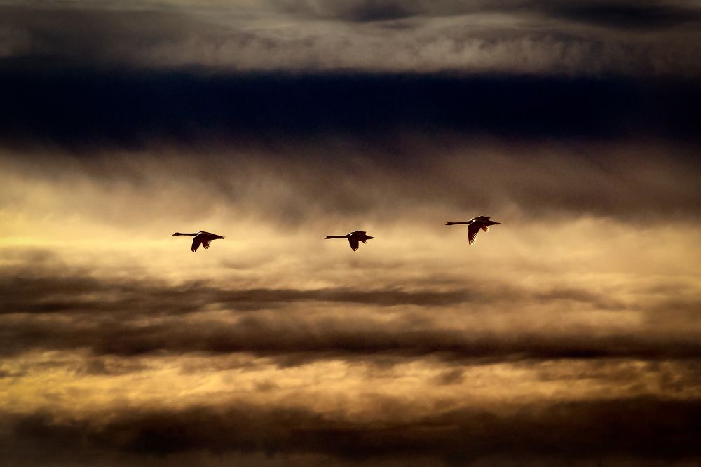 Photograph by Антон Дергунов