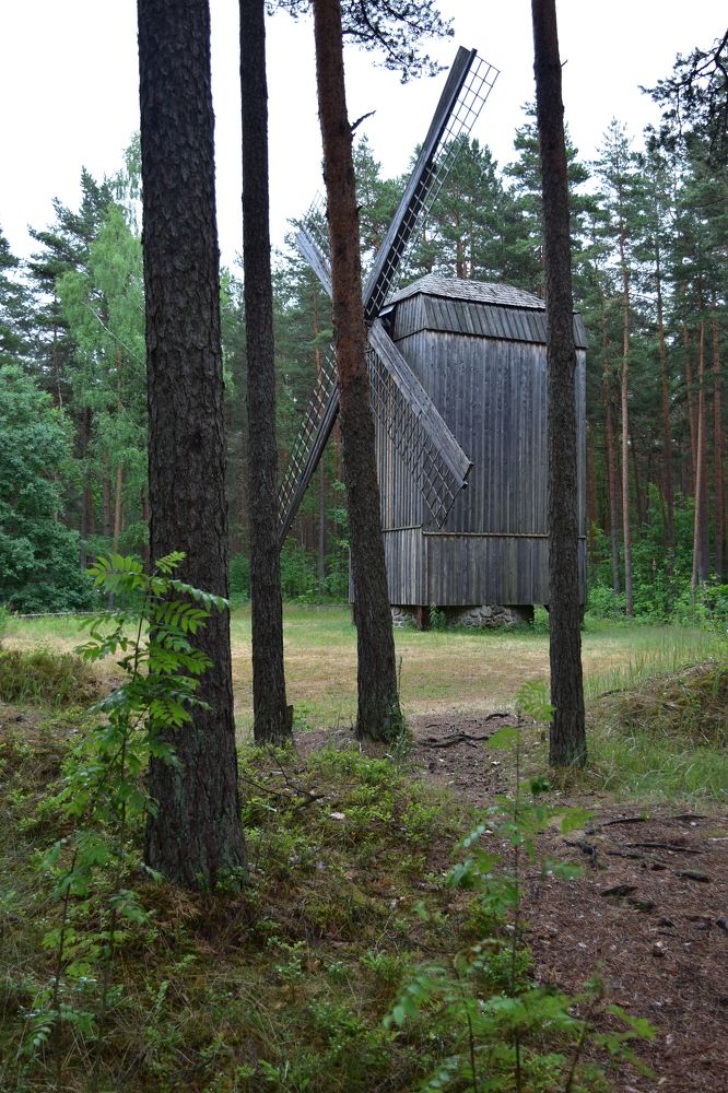 Photograph by Анна Стрельченко