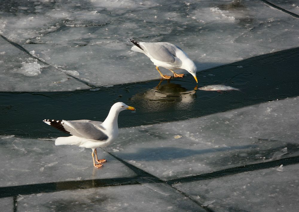 Photograph by Дмитрий Ткаченко