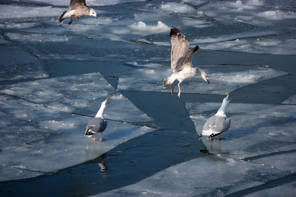 Photograph by Дмитрий Ткаченко
