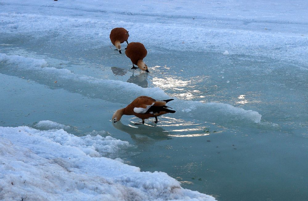 Photograph by Дмитрий Ткаченко