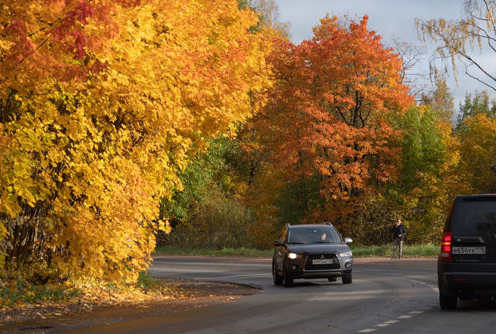 Photograph by Криволуцкий Вячеслав