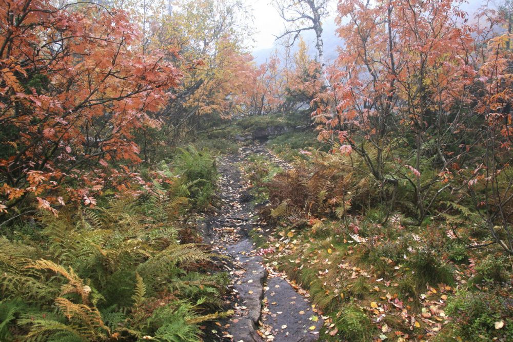 Photograph by Галина Ильясова