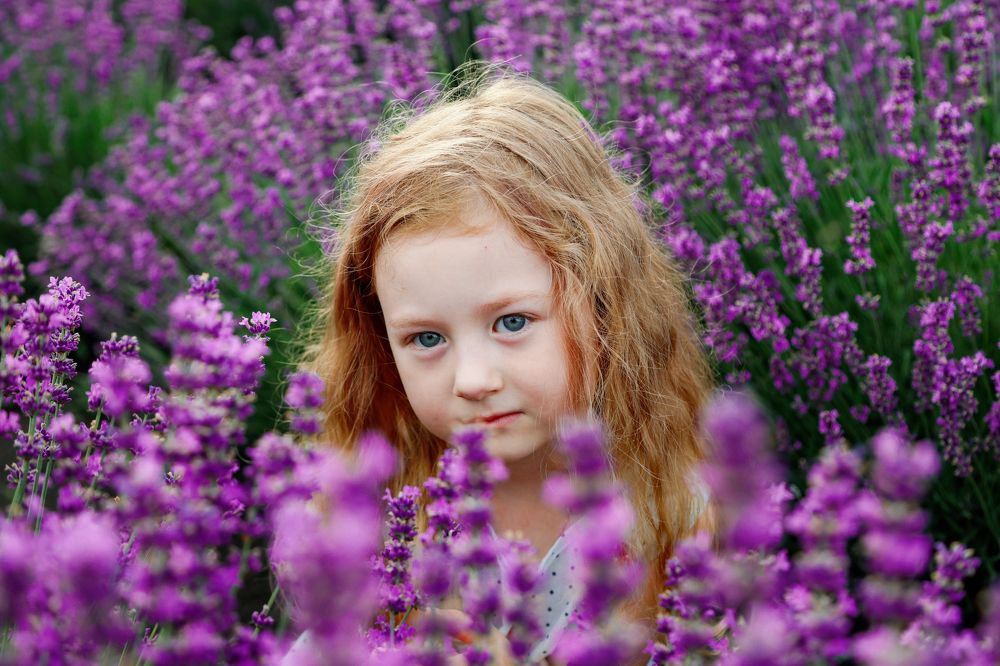 Photograph by Александр Шептикин