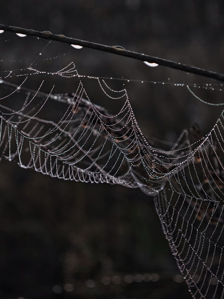 Photograph by Олеся Зеленщикова