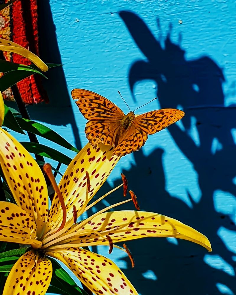 Photograph by Артем Гатин