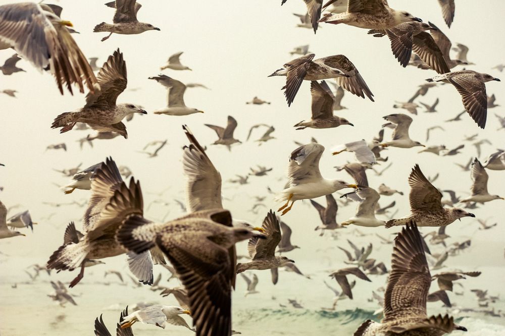 Photograph by Viyaleta