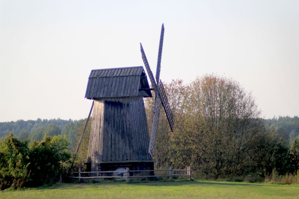 Photograph by Галина Бронникова