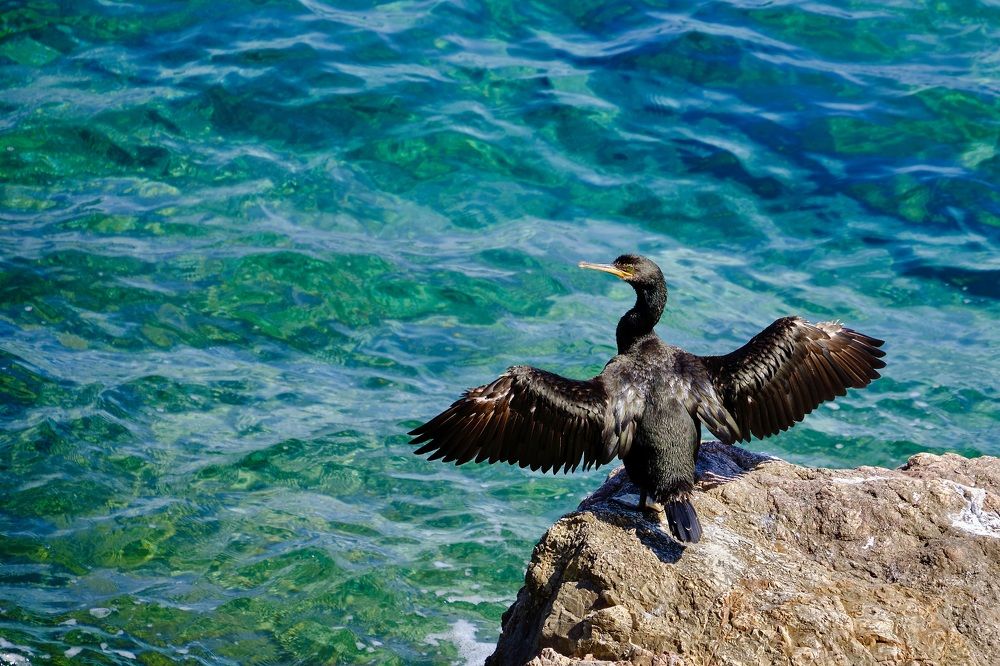 Фотография автора Vilnis Zoldners