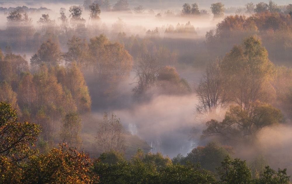 Photograph by Левыкин Виталий