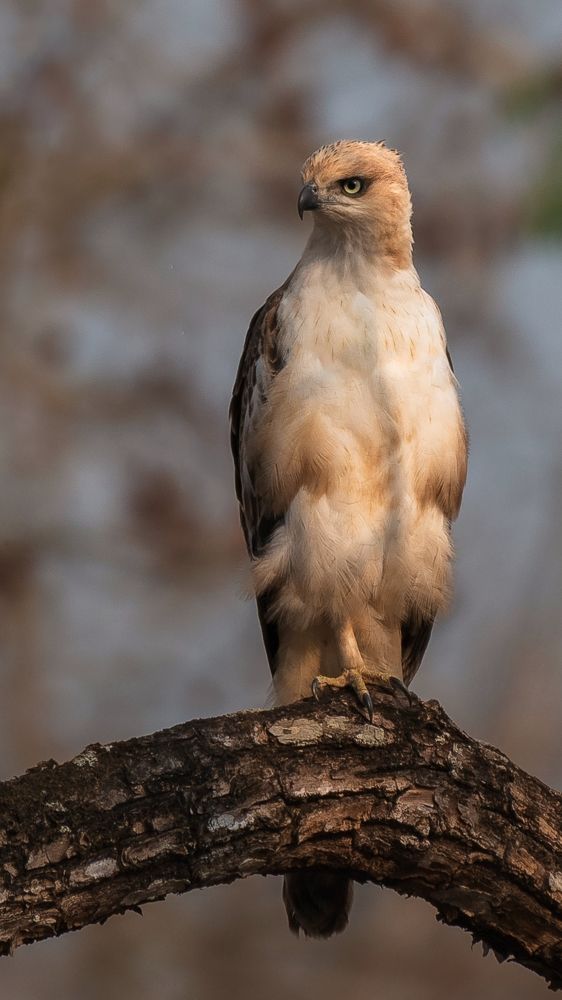 Photograph by Arnold Judson Samuel