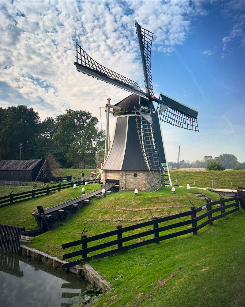 Фотография автора Julia