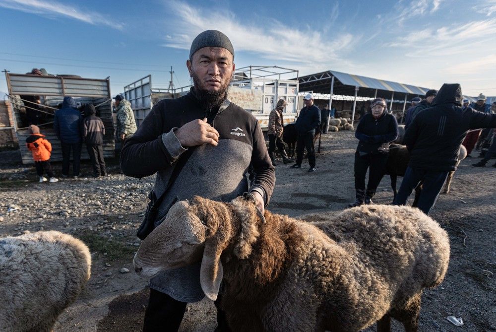 Photograph by Назаров Александр
