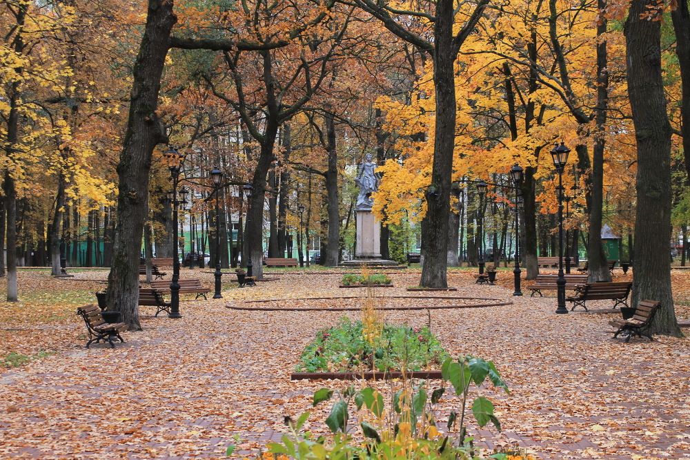 Photograph by Александр Гришин