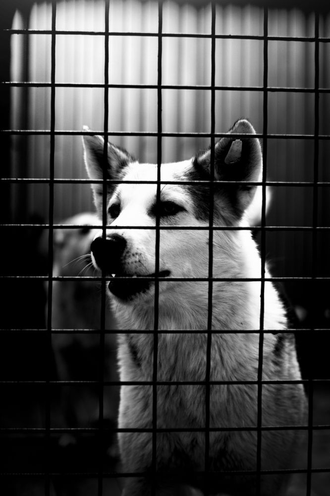 Photograph by Александр Бунин