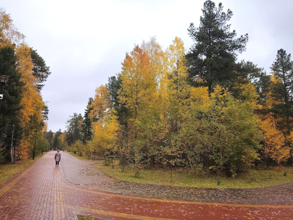 Photograph by Виталий Са