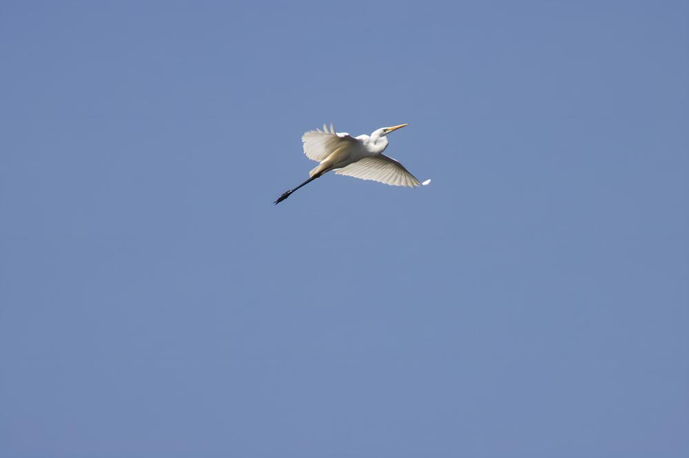 Photograph by Ирина Шибитова