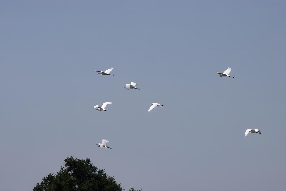 Photograph by Ирина Шибитова