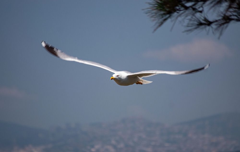 Photograph by Анна Васильева