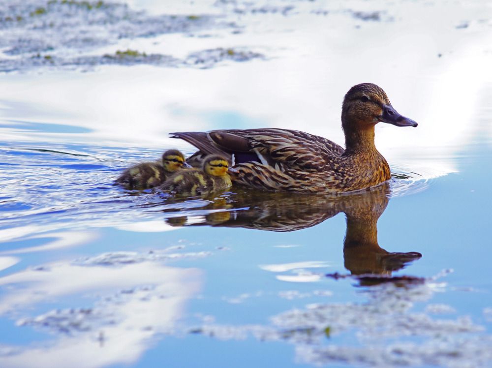 Photograph by Анна Васильева