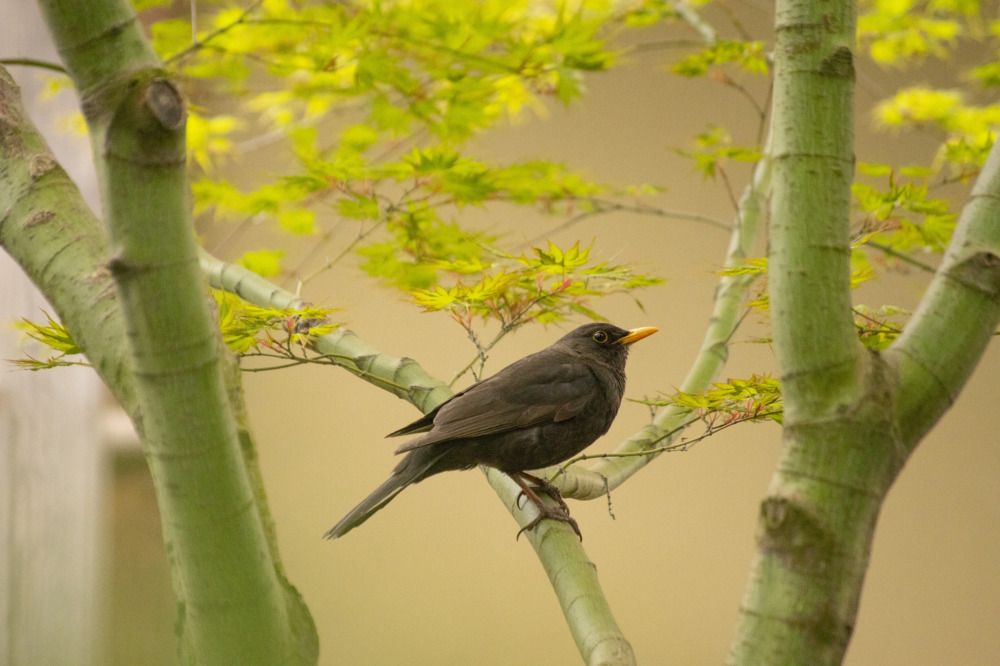 Photograph by Анна Васильева