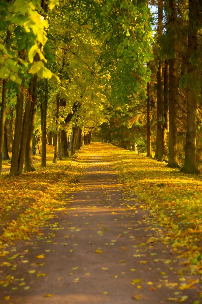 Photograph by Анна Васильева