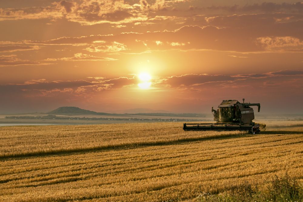 Photograph by Валерий Шорохов