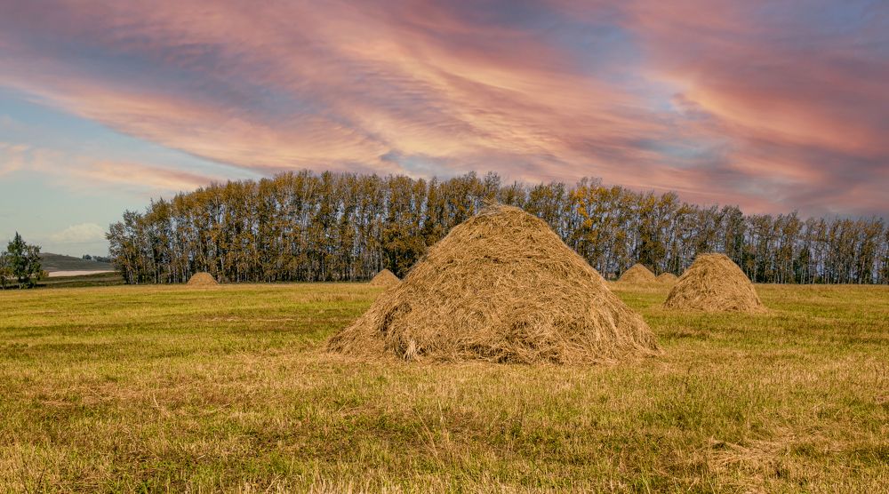 Photograph by Валерий Шорохов