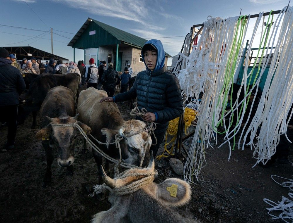 Photograph by Назаров Александр