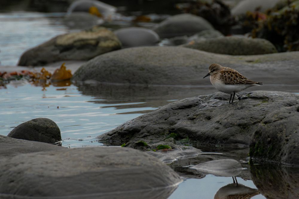 Photograph by Юлия Хобта