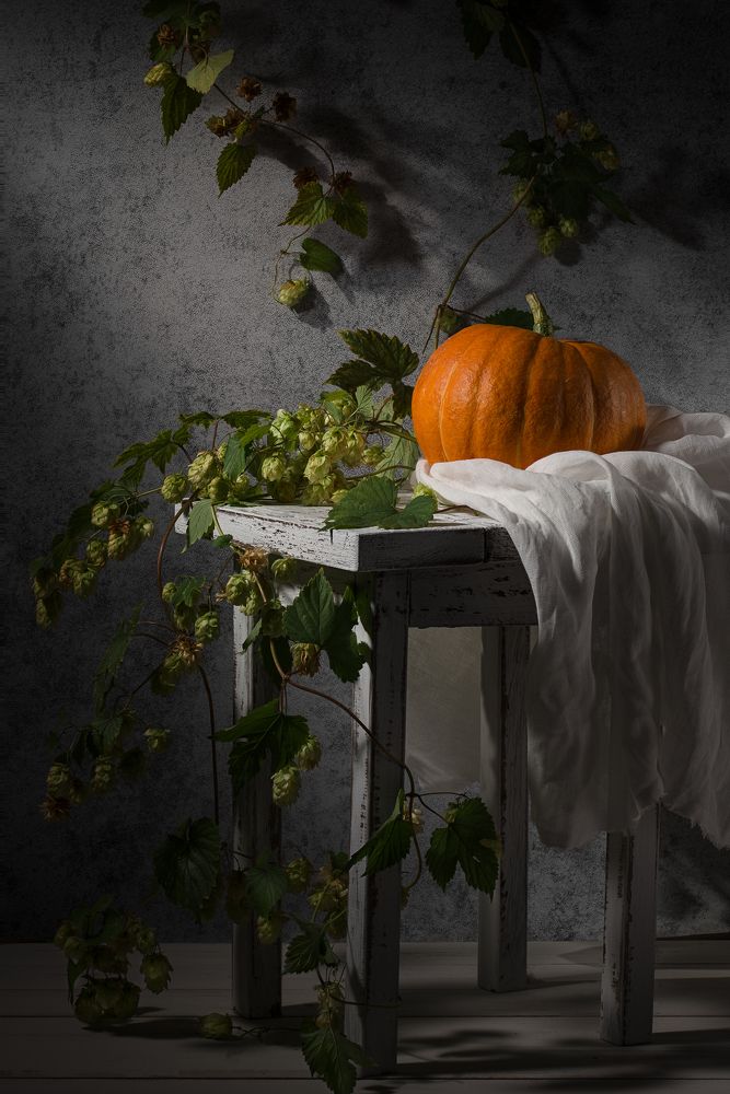 Photograph by Николай Дибров