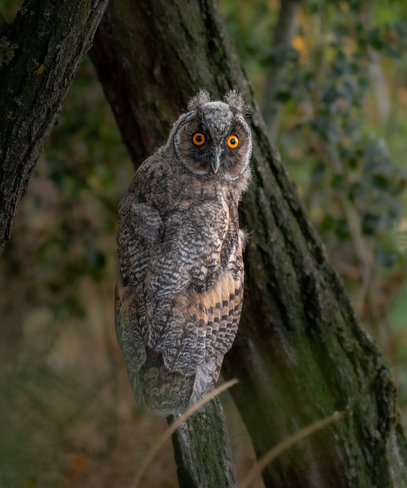 Photograph by Милан Ђорђевић