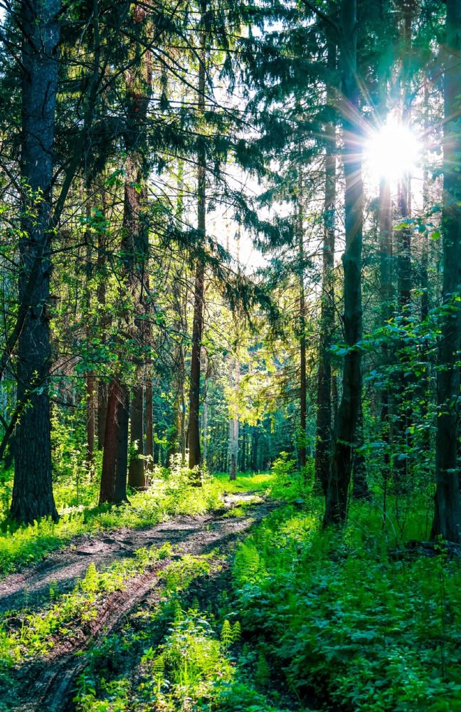 Photograph by Гульнара