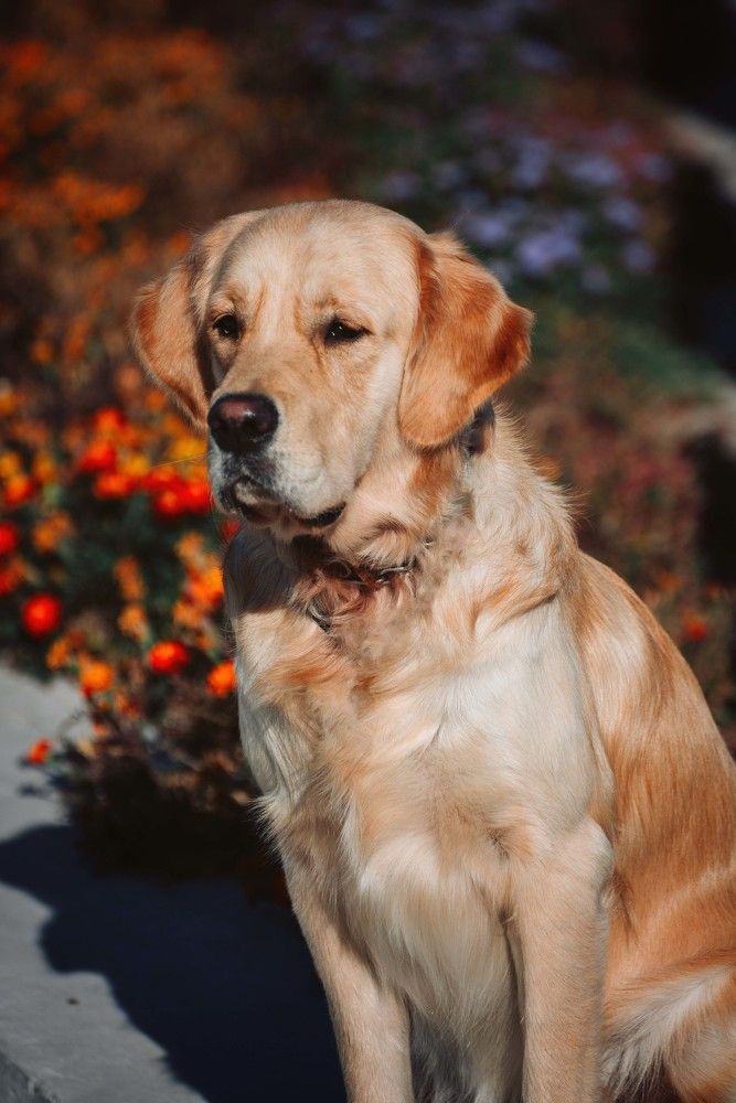 Фотография автора Рыбаков Илья