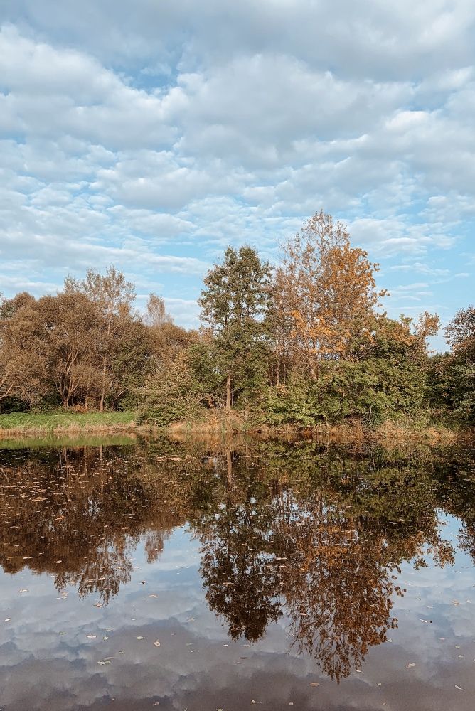 Photograph by Евгения Д